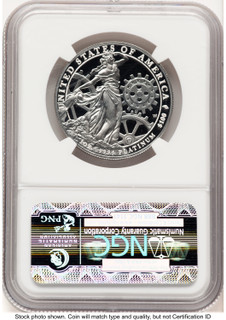 2013-W Proof Platinum Eagle 1 oz ER Blue NGC PF70