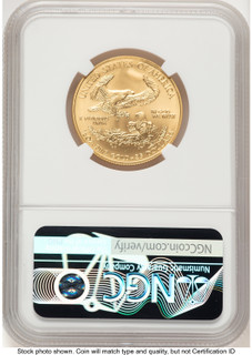 2007-W Burnished Gold Eagle 1/2 oz Brown Label NGC MS70