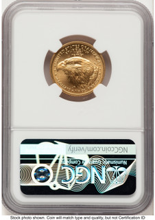 2021-W TY2 Gold Eagle 1/4 oz Unfinished Proof Dies Jennie Eagle Flag NGC PF69 Norris