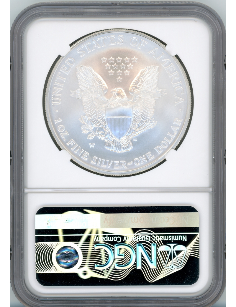 2008-W Burnished Silver Eagle Reverse Of 2007 NGC MS70 John