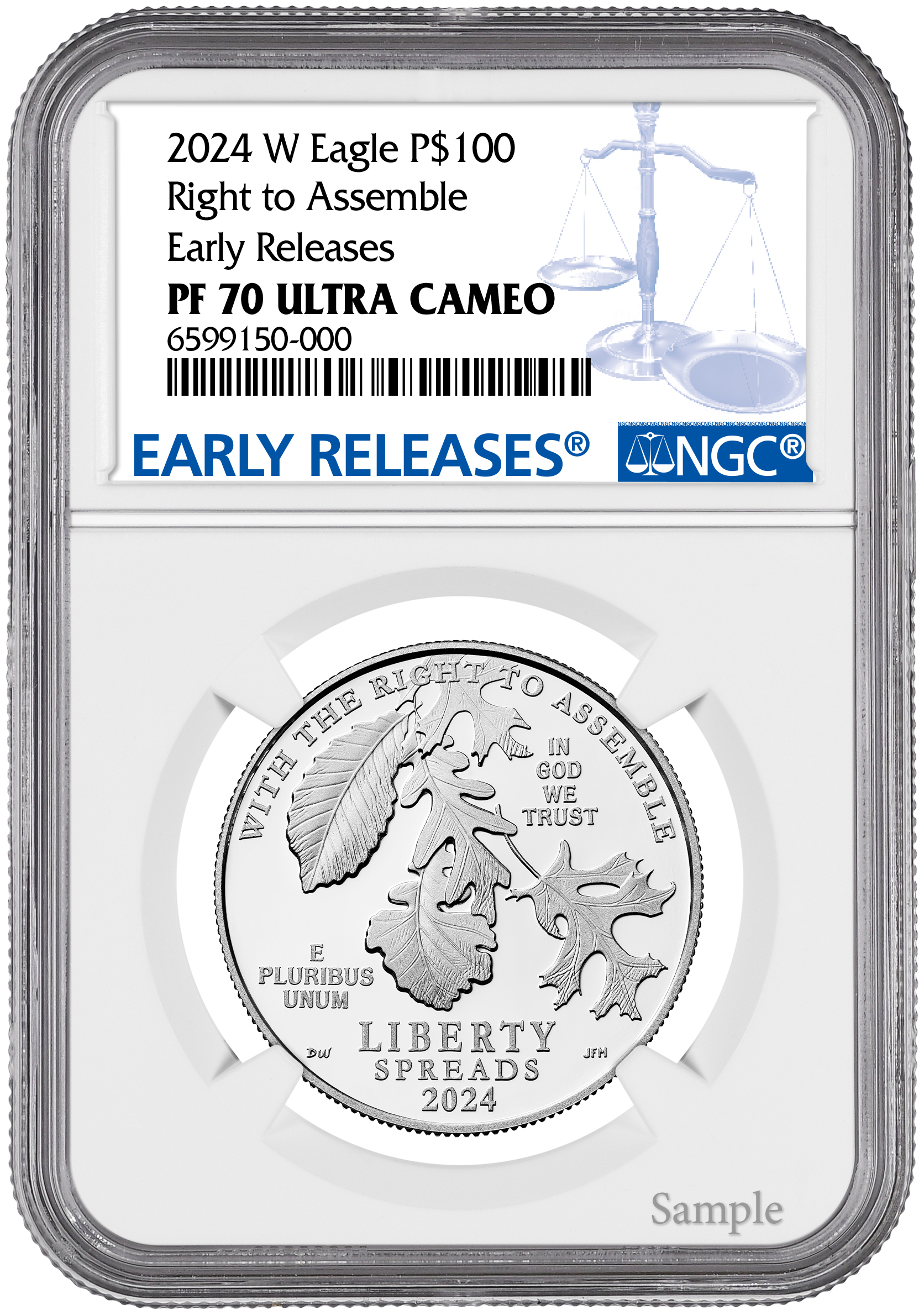 2024-W $100 One-Ounce Platinum Eagle Right to Assemble ER NGC PF70