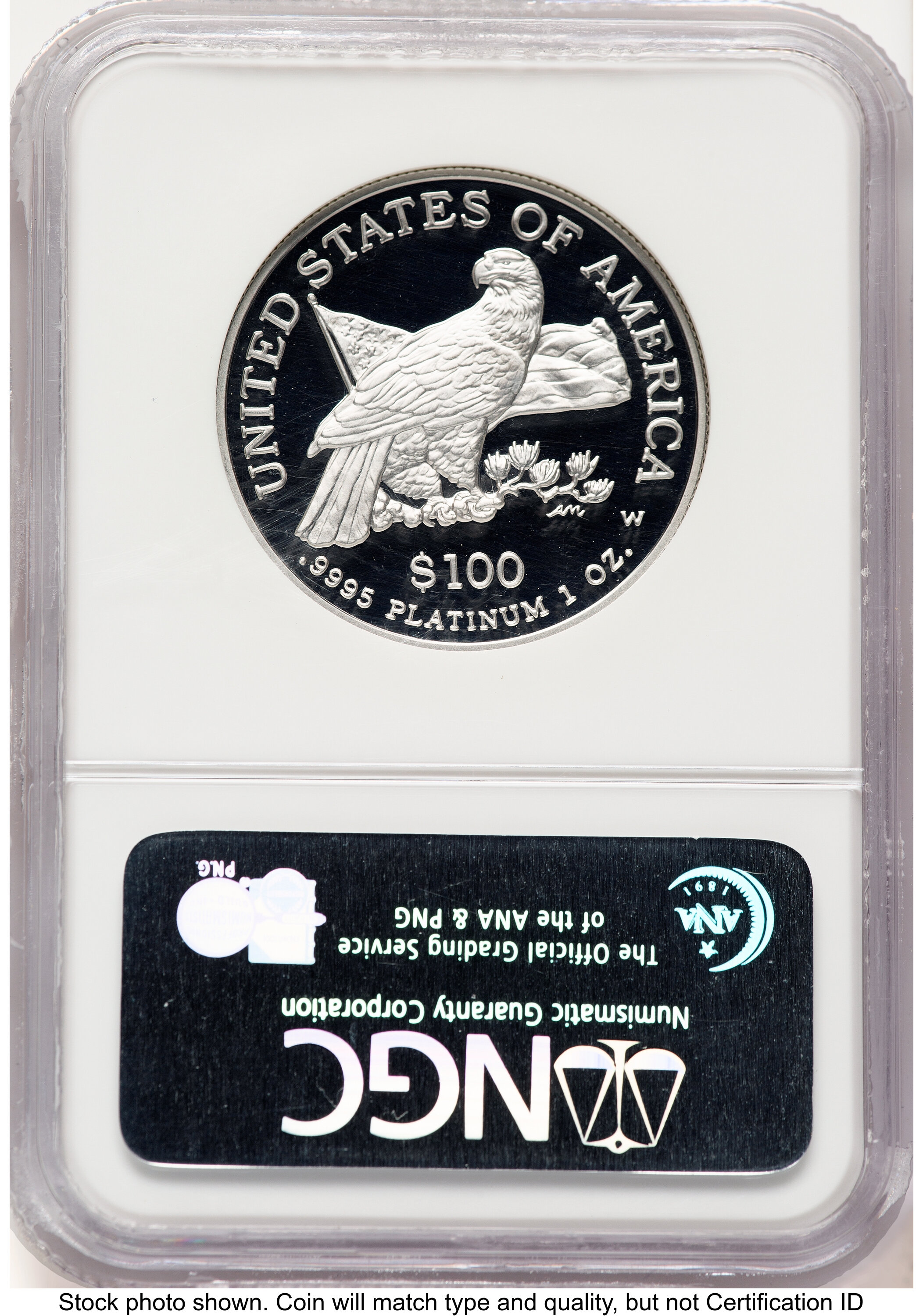 2003-W Proof Platinum Eagle 1 oz Brown Label NGC PF70 - LCR Coin