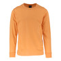 Adult Solid Long Sleeve Melon (LS-100)