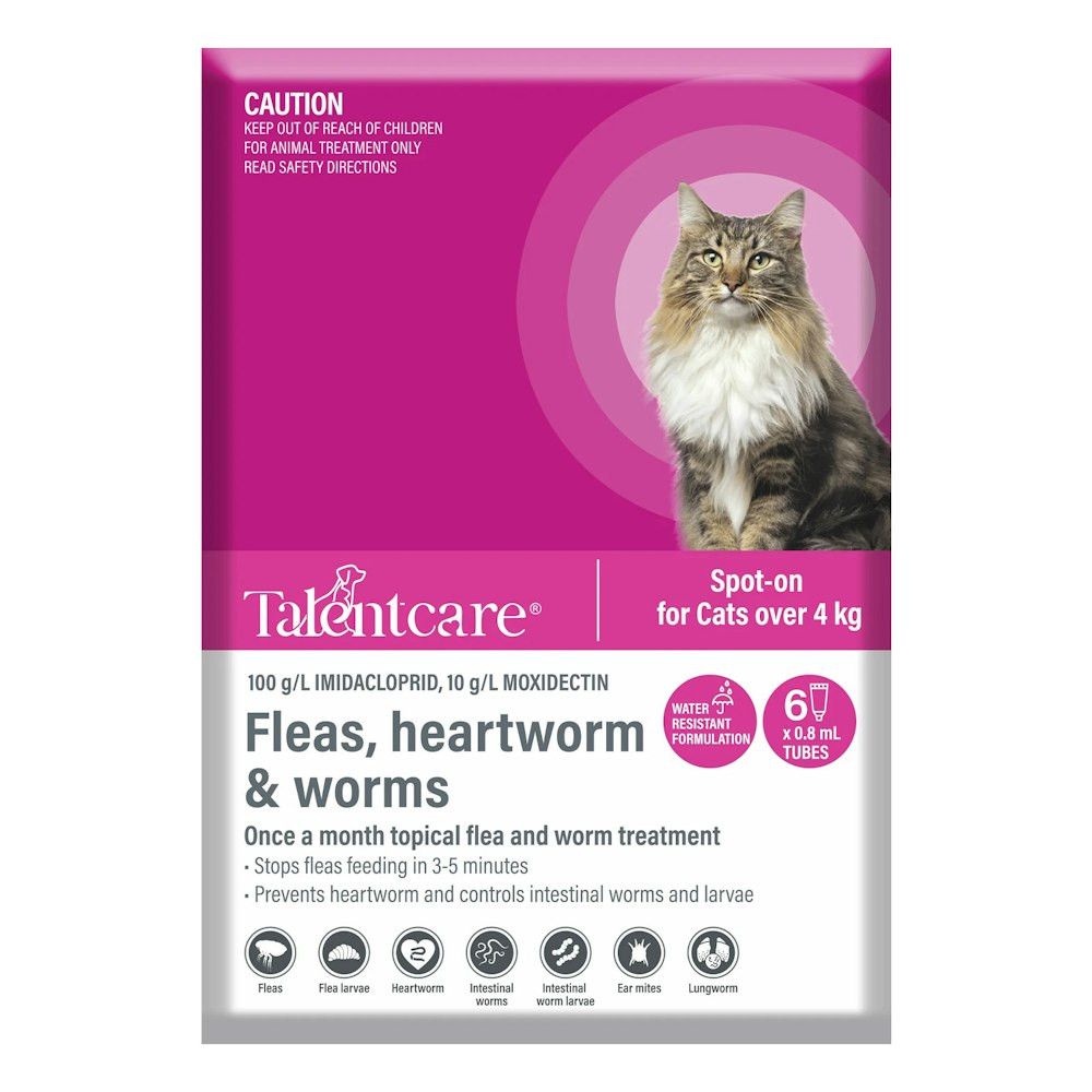 Cheristin Flea Treatment For Cats Elanco Flea Treatment For Cats