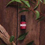 product-thum