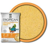 product-thum