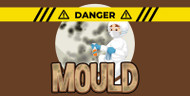 Mould and Mildew: Removal & Prevention Tips