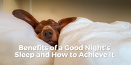 Benefits of a Good Night's Sleep and How to Achieve It