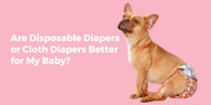 Are Disposable Diapers or Cloth Diapers Better for My Baby?