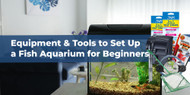 Equipment & Tools to Set Up a Fish Aquarium for Beginners