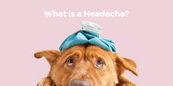 What is a Headache?