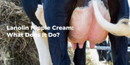 Lanolin Nipple Cream: What Does It Do?