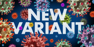 New Covid Variant Australia NB 1.8.1