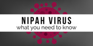 Nipah Virus Explained: Overseas Travel Hygiene Tips for Australians