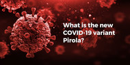 What is the new COVID-19 variant Pirola?