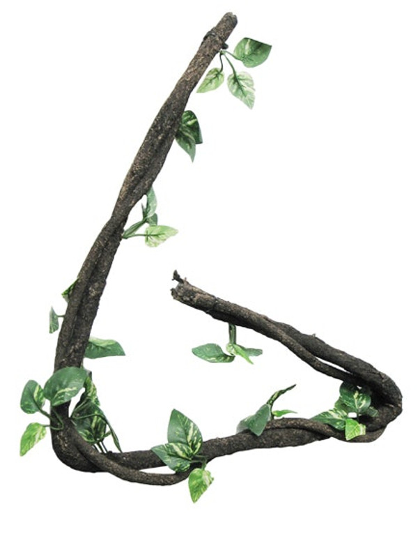 product-thum