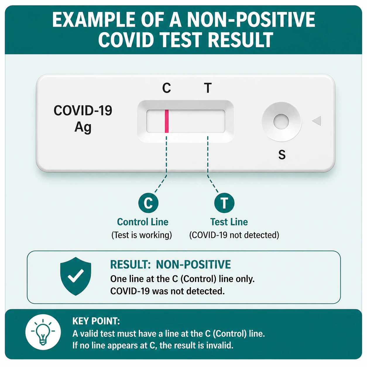 Example of a negative COVID test result showing only the control (C) line and no test (T) line