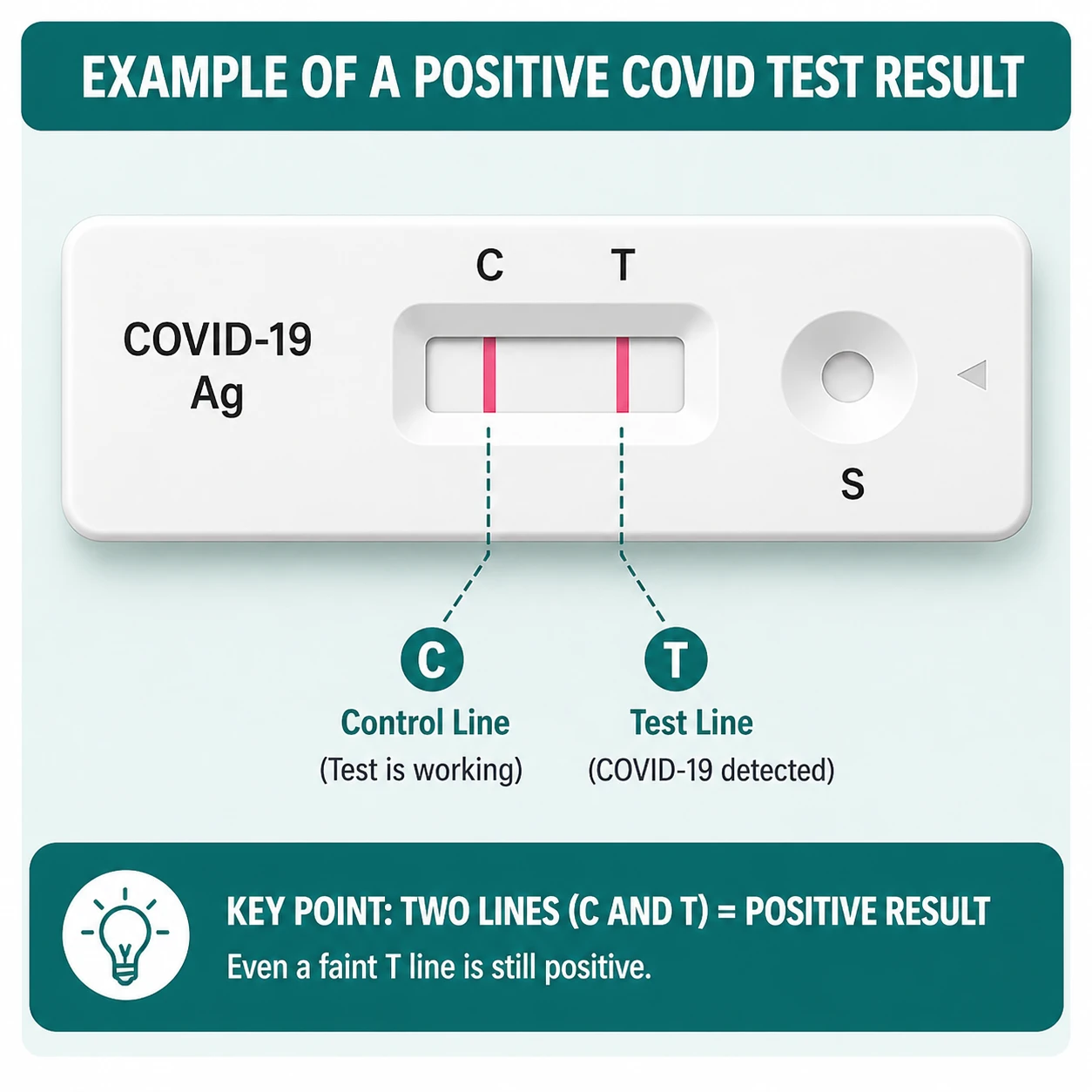 Example of a positive COVID test result showing both C and T lines clearly