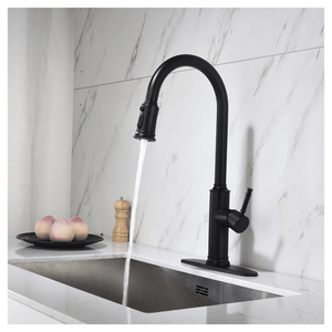 Single Handle Pull Down Kitchen Faucet with Dual Function Sprayhead T575-S0671279404