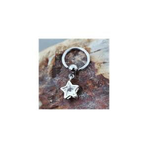 316L Stainless Steel Captive CZ Star Dangle Captive Bead Ring T575-S0671356930