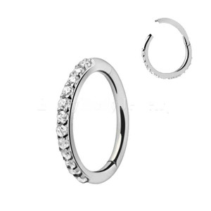 316L Stainless Steel Multi-Jeweled Seamless Clicker Ring T575-S0671356286