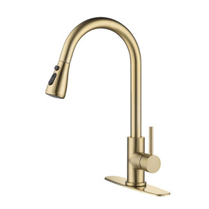 Kitchen Faucet with Pull Out Spraye T575-S0671282601