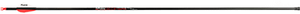 Victory RIP Sport Arrows 500 2 in. Vanes 6 pk. R557-1206863