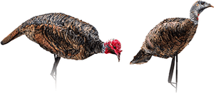 Montana Decoy Purr-Fect Pair XD Decoy Combo R557-1003653