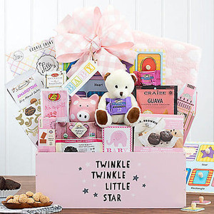 Hello Baby: Baby Girl Gift Basket Z954-WC-505