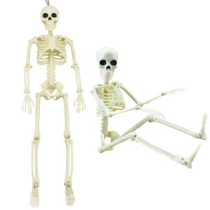 Color: Red, Ships From: spain - 16 Inches Simulation Halloween Human Skeleton Ghost Festival Movabl F640-12000023778635547