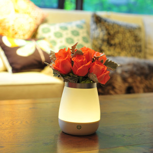 Vase dormitory night light Creative fun bedroom bedside lamp charging feeding lamp Home decoration  Q119-CJJJJRZS00125