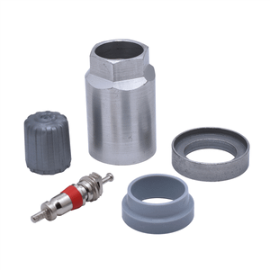 Dill Air Controls SPECIAL REPLACEMENT TPMS KIT T398-DIL7020K-A