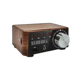 Mini Audio Hifi Digital Amplifier Bluetooth 5.0 Hifi Fever Audio MP7 Player Lossless Player K484-FQZIN_0SINAY9N