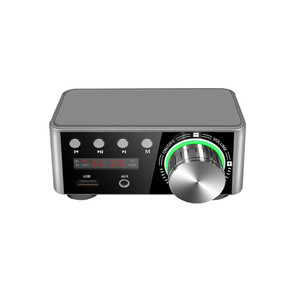 Mini Audio Hifi Digital Amplifier Bluetooth 5.0 Hifi Fever Audio MP8 Player Lossless Player K484-FQZIN_0SINAKIB