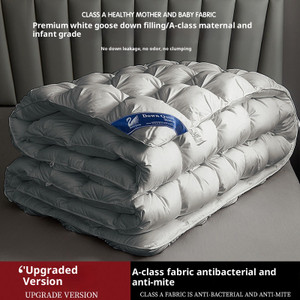 Color: Gray, Size: 150x200cm 2.5KG - Thickened Warm Winter Duvet Insert Q119-CJYD257096502BY