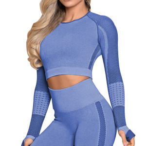 Color: Sapphire top, Size: M - Yoga Crop Top Seamless Yoga sets Q119-CJNSSYTZ00914-Sapphire top-M