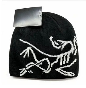 Color: Style2-6 - 2025 Fashion Classic arc Beanie Designer Winter Hat Beanies Bonnet Luxe Skull Cap Y829-1477787475271843855