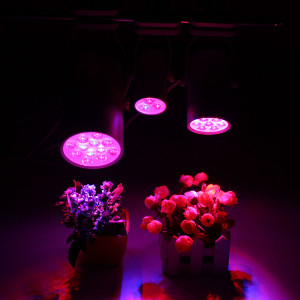 3W 7W 12W LED Plant Lights Grow Lamp Flood Supplementary Light C122-1189956