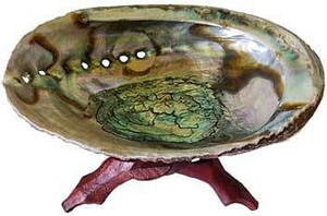 5"- 6" Abalone Shell incense burner with stand H558-IBABAS