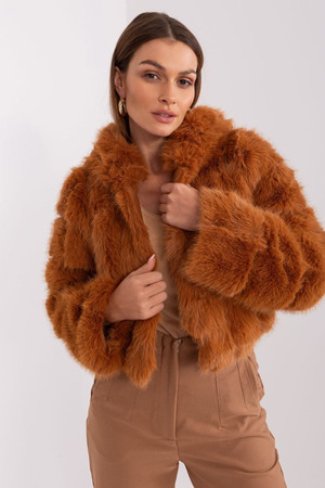 brown - Jacket model 189521 AT U704-189521