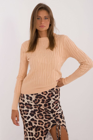 brown - Jumper model 199755 AT U704-199755