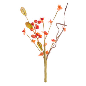Fall Pick Bitersweet Orange 11 Inches N274-FC01357526