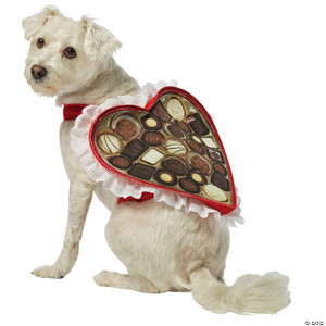 Chocolate Box Pet Costume Ex Small N274-MR01GC5001XS