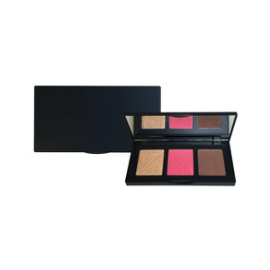 Pro Cheek Palette - Pop V570-728