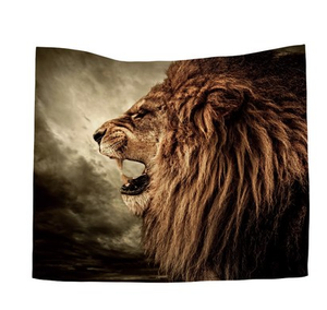 Size: 150x100cm thick - Foreign trade home decoration wall hanging tapestry ins net red anchor patt Q119-CJJJJFCL00047-150x100cm thick