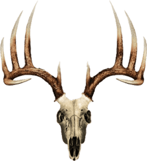 Elevation Transition Hip Quiver Black/Red RH R557-13021