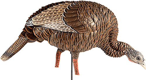 Avian X HDR Feeding Hen Decoy R557-1003512