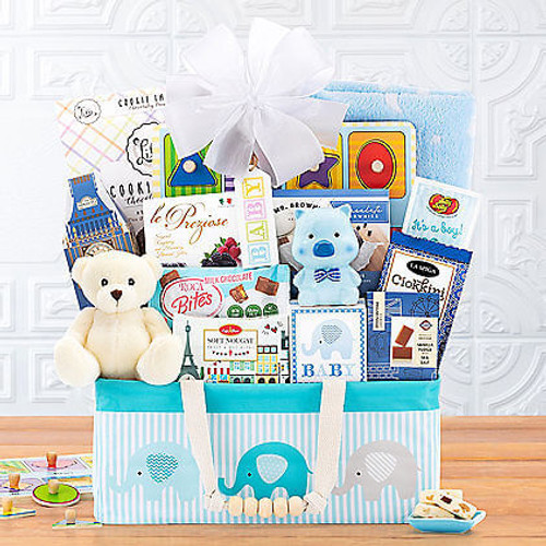 Bundle of Joy: Baby Boy Gift Basket Z954-WC-994