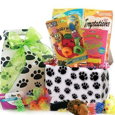 The Cat's Meow: Pet Cat Gift Basket Z954-DY-MEOW
