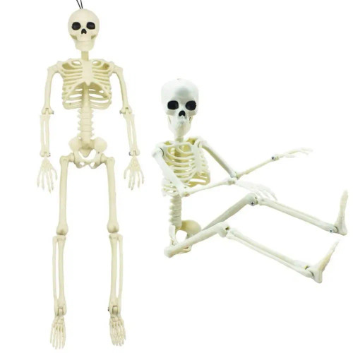 Color: WHITE, Ships From: belgium - 16 Inches Simulation Halloween Human Skeleton Ghost Festival Mo F640-12000023778635553